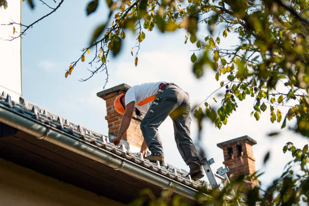 Best Roof Replacement Cost  in Fairfield, IL